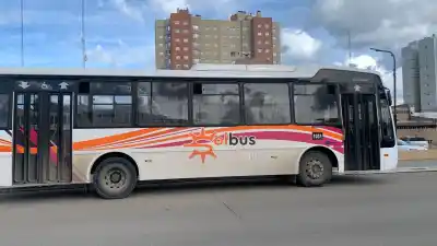 La Línea 14 volvió a circular por los barrios que habían quedado aislados