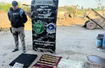 El clan tucumano que robaría animales tiene cuatro casas en la mira: qué encontraron adentro