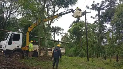 Temporal en el norte de Misiones: más de 15 postes caídos y vecinos que prestaron sus tractores