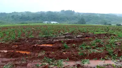 El granizo arrasó chacras a diez días de la cosecha y la Nación todavía no pagó lo del año pasado