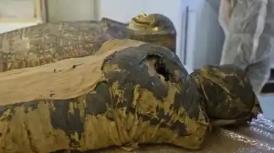 Sacaron a una momia de 4000 años de un museo y el motivo descolocó a todos