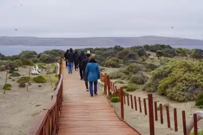En Península Valdés cambiaron los miradores: con qué material los reconstruyeron