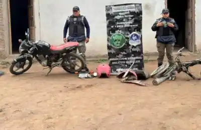 Allanaron cuatro viviendas y lo que encontraron sorprendió a los investigadores