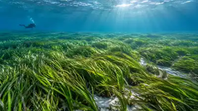 Vive desde hace 4500 años y mide 180 kilómetros: la planta que dejó mudos a los científicos