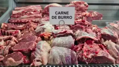 ¿Es legal vender carne de burro? La respuesta de un funcionario que dejó en claro el límite