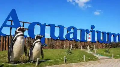 El Aquarium se quedó vacío: los últimos cuatro pingüinos ya tienen destino y el predio cambia de manos