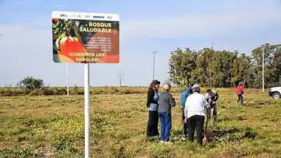 En dos plazas de Ramírez plantaron 70 árboles: qué fruta rara va a dar cada uno