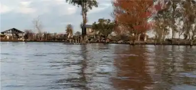 El Paraná ya trae una crecida que llegará al Delta bonaerense: qué zonas quedan en la mira