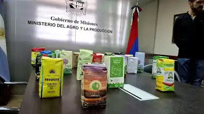 La yerba misionera que pelea de igual a igual con las grandes: el dato que cambia la compra