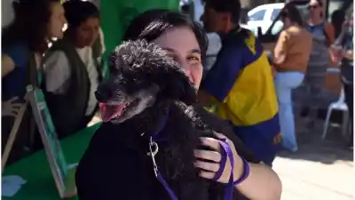 Vecinos del Noroeste: castración y vacunación gratis en noviembre, barrio por barrio