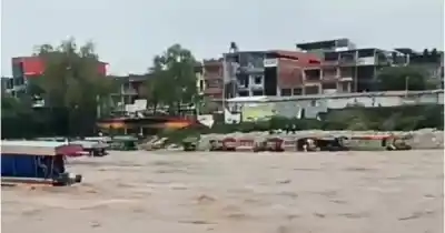 El Bermejo subió tras la tormenta: qué pasa ahora con los cruces a Bolivia