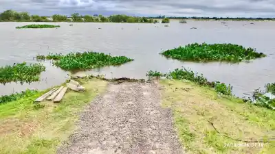 El río Paraguay subió en Formosa: 23 productores en alerta y ya hay hacienda que se mueve