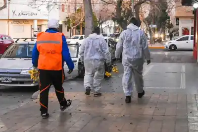 Fumigación en Capital: los barrios que tendrán operativo y las fechas clave