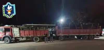 Lo frenaron en el acceso sur de Miraflores con 30 toneladas de madera: la guía no cerraba