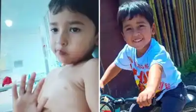 El pequeño de 4 años que luchó contra una serpiente: la noticia que todos esperaban