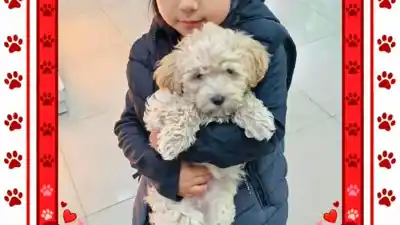 Se perdió Lupita en el barrio Industria y su familia no deja de buscarla