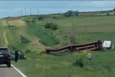 Un camión cargado de vacunos se fue de la ruta en pleno Diamante y la escena obligó a mover a todos los animales