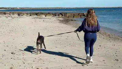 Dejó el aula para pasear perros y ahora factura miles de dólares en 20 horas por semana
