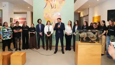 El museo de Rosario que reabre gratis con 80 años de historia y fósiles milenarios