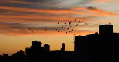 El termómetro se desplomó y el cielo guarda un secreto: ¿qué sorpresa traerá el viento?