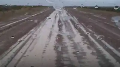 Punta Tombo bajó la persiana y hay un dato clave para quien planeaba ir este finde