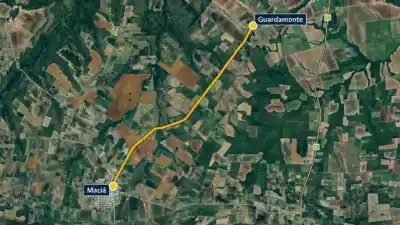 Entre Ríos sale a licitación para llegar hasta las cooperativas apícolas: qué caminos entran