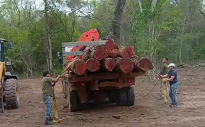 La guardia del Ingenio La Esperanza dio la alerta y adentro había 16 rollos de madera nativa