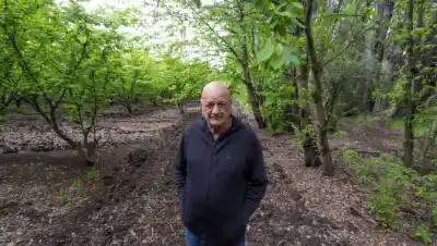 Llegó al Valle de Viedma a los 17 y hoy su chacra produce el fruto seco que endulza al mundo