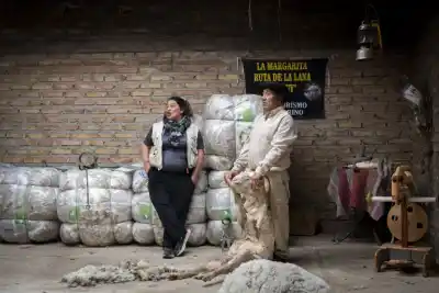 Los chicos llegan al campo, ven esquilar una oveja y hacen la pregunta que nadie esperaba