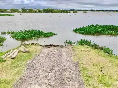 Crecida del Paraguay: 23 productores bajo la lupa y tres ya mueven su hacienda
