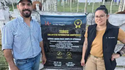 Diez toros de una cabaña del Valle Medio pasaron por la manga: qué buscaban los veterinarios