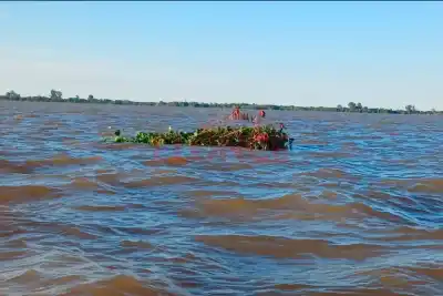 El Paraná ya sube y el agua que llega del norte tiene una fecha: qué zonas del Delta quedarían bajo el agua