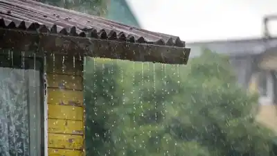 El punto de la casa que casi nadie mira y que con El Niño puede arruinarte el verano