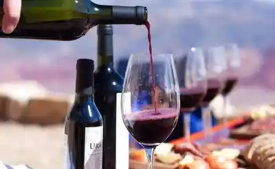 Jujuy pasó de 15 a 150 hectáreas de viñedos: qué hay detrás del boom de los vinos de altura