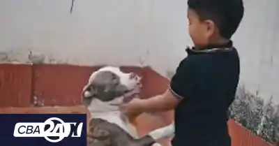 Le robaron la perra hace meses: el allanamiento que terminó con un final inesperado