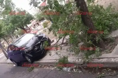 Dijo que se durmió al volante y terminó contra un árbol del boulevard de Alvear