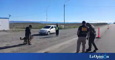 Los canes que olfatean drogas salieron a la calle en dos ciudades de Santa Cruz