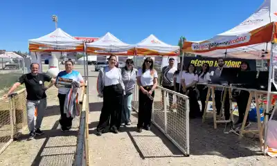 Fiesta del Pingüino en Trelew: la entrada cuesta $10.000, pero hay dos formas de no pagarla