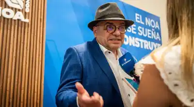 El peso se fortalece y cinco sectores ya traen dólares: el aviso de Di Stéfano sobre lo que viene