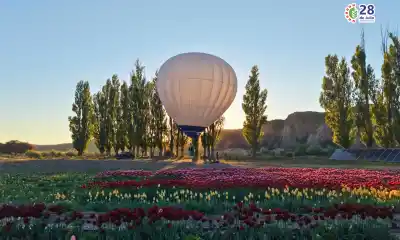 El globo que sorprendió a todos sobre los tulipanes de 28 de Julio