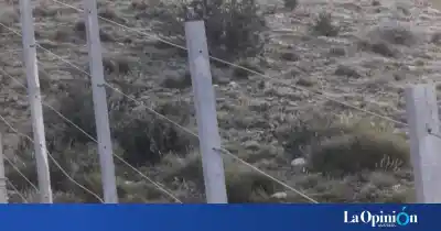 Jugaban en el río en Palermo Aike: dos hermanos siguen desaparecidos y la búsqueda arranca a las 5
