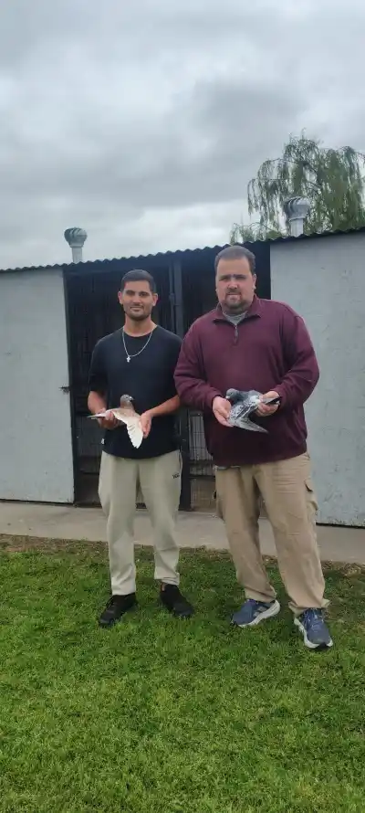Dos palomares piquenses se repartieron los títulos y uno se quedó con todo