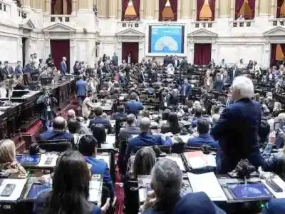 Media sanción para discapacidad: el funcionario formoseño que no le cree nada al Gobierno