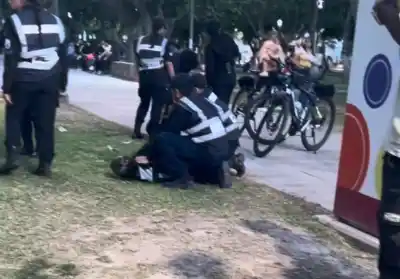 Cuatro adolescentes habrían ido a robarle la cartera a una mujer al Parque de Mayo y terminaron desatando disturbios