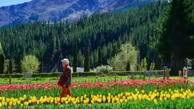 El jardín de una pobladora anticipó lo que hoy son 16.600 tulipanes en el norte neuquino
