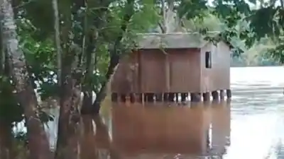 El agua les tapó las casas y ahora duermen bajo un plástico: el pedido desesperado de una aldea mbya