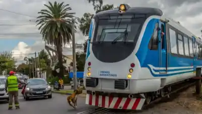 El tren que volvió a Salta cuesta la mitad que el colectivo, pero hay un horario que todavía no aparece