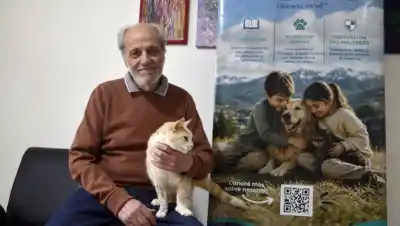 Los veterinarios que salieron a las aulas de Bariloche: la advertencia sobre las mordeduras que sorprende a las familias
