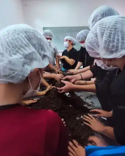 En una escuela de San Ignacio armaron bolsas con aserrín y viruta: adentro creció algo que ya se come en Misiones