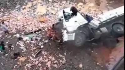 Cayó un camión con mercadería desde el puente de León: el conductor salió por sus propios medios